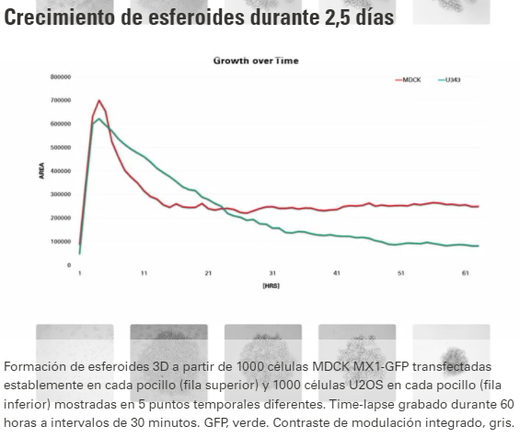 Odoo - Prueba 3 a tres columnas