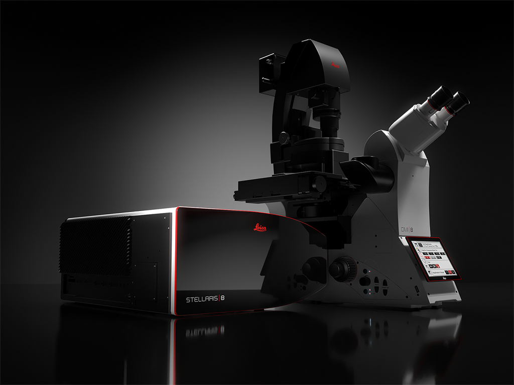 Sistema Confocal Leica Stellaris 8