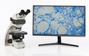 Microscopio Leica DM500
