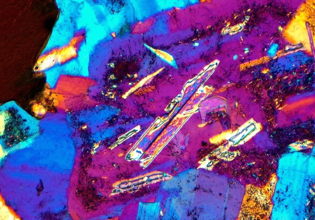 Microscopio Leica DM750 P