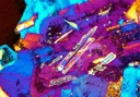 Microscopio Leica DM750 P