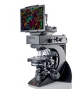 Microscopio Leica Visoria P