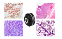 Cámaras de Microscopía M-Shot