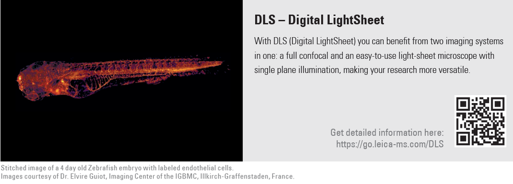 Sistema Confocal Leica Stellaris 5