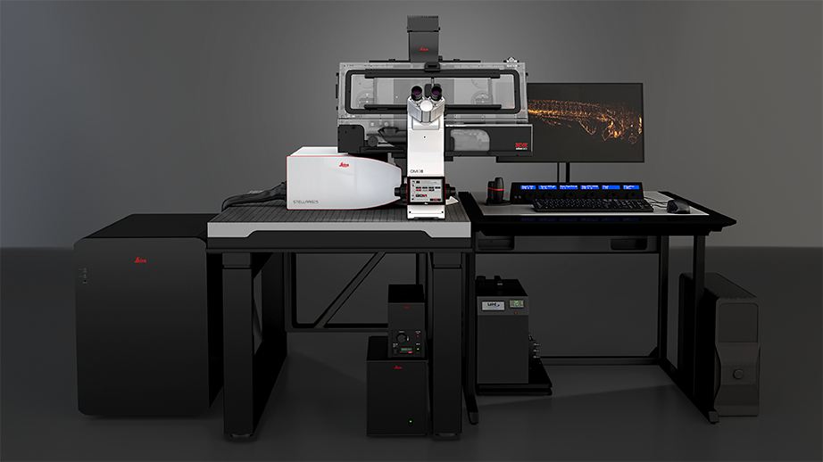 Sistema Confocal Leica Stellaris 5