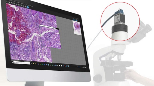Escáner manual Microvisioneer mvSlide