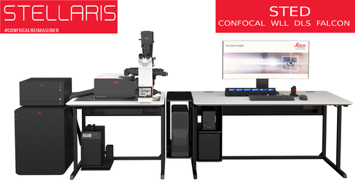 Sistema Confocal Leica Stellaris STED